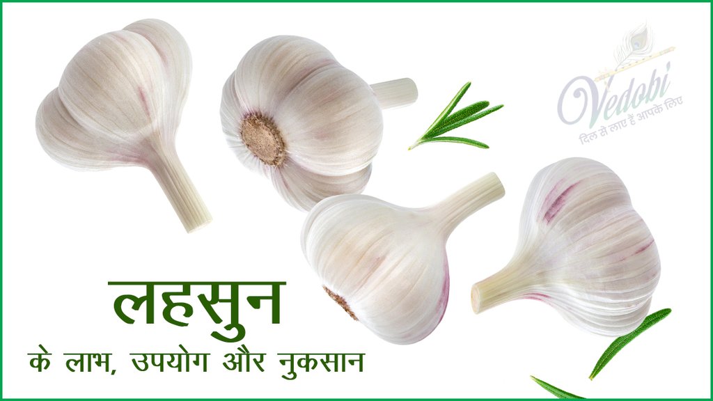 लहसुन के लाभ, उपयोग और नुकसान
