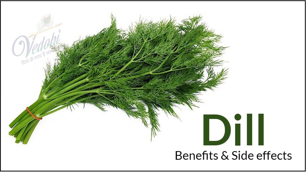 Dill- Benefits & Side effects
