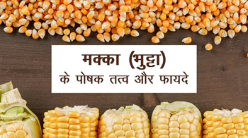 मक्का के पोषक तत्व और फायदे