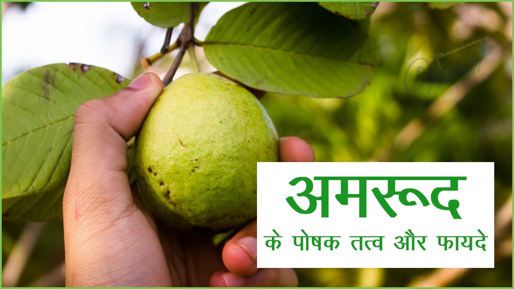 अमरूद के पोषक तत्व और फायदे