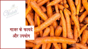 गाजर के फायदे और उपयोग