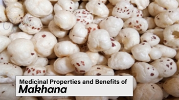 Medicinal Properties and Benefits of Makhana