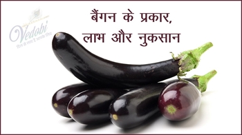 बैंगन के प्रकार, लाभ और नुकसान