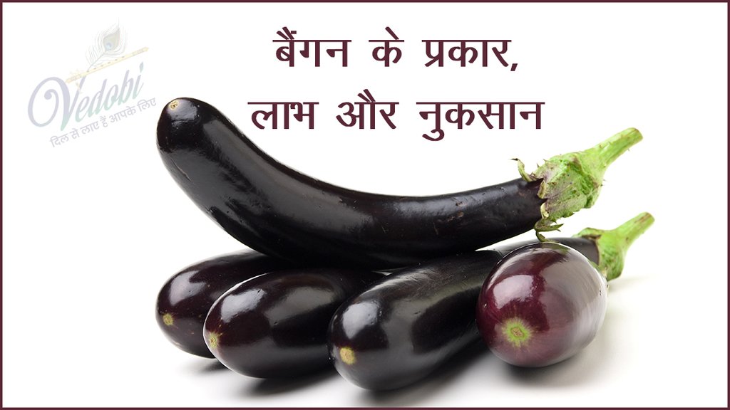 बैंगन के प्रकार, लाभ और नुकसान