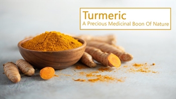 Turmeric- A Precious Medicinal Boon of Nature
