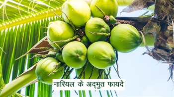 नारियल के अद्भुत फायदे
