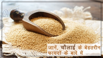 जानें, चौलाई के बेहतरीन फायदों के बारे में