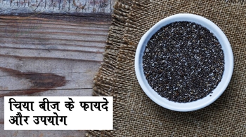 चिया बीज के फायदे और उपयोग