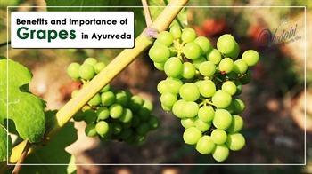 Benefits and Importance of Grapes in Ayurveda
