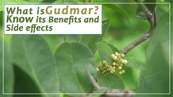 What is Gudmar? Know its Benefits and Side effects