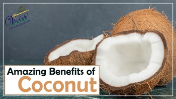 Amazing Benefits of Coconut
