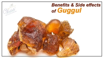 Benefits & Side effects of Guggul