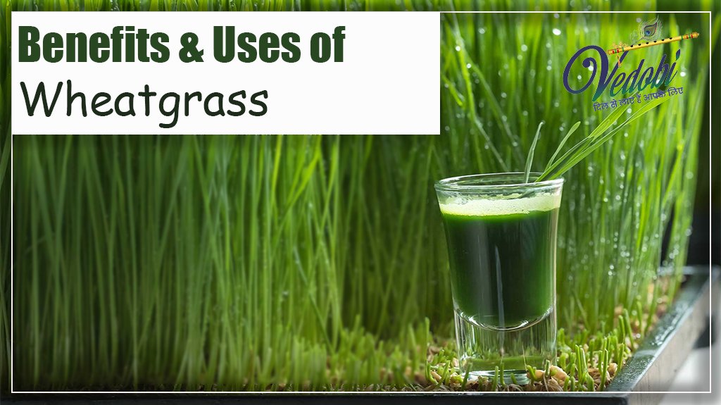 Benefits & Uses of Wheatgrass