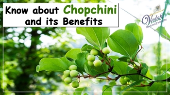 Know about Chopchini and its Benefits