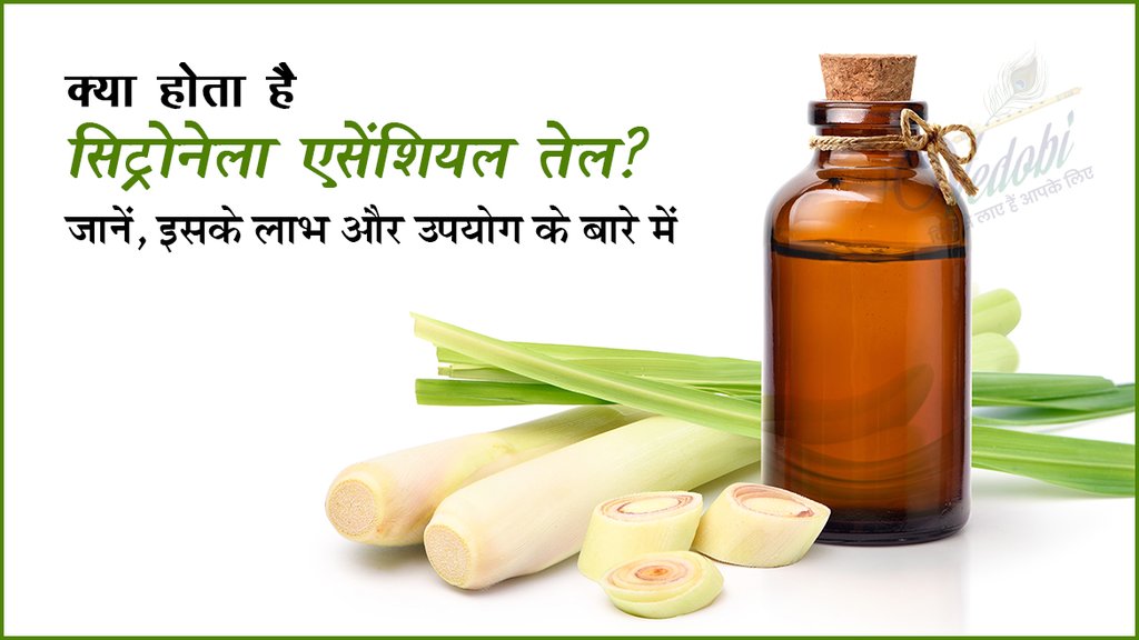 क्या होता है सिट्रोनेला एसेंशियल तेल? जानें, इसके लाभ और उपयोग