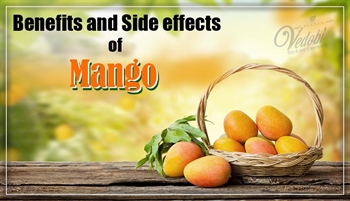 Benefits and Side effects of Mango