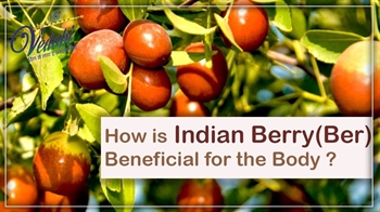 How is Indian Berry (Ber) beneficial for the Body?