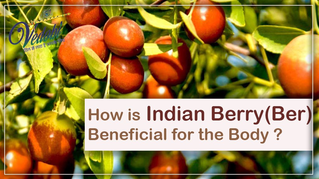 How is Indian Berry (Ber) beneficial for the Body?