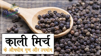 काली मिर्च के औषधीय गुण और उपयोग