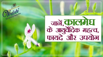 जानें, कालमेघ के आयुर्वेदिक महत्व, फायदे और उपयोग