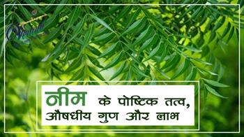 नीम के पौष्टिक तत्व, औषधीय गुण और लाभ