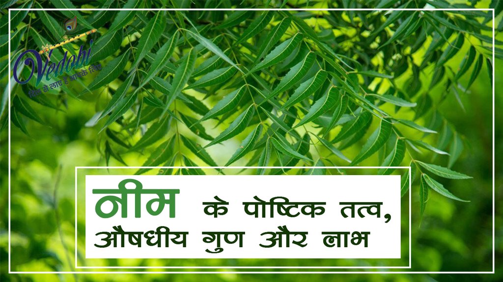 नीम के पौष्टिक तत्व, औषधीय गुण और लाभ