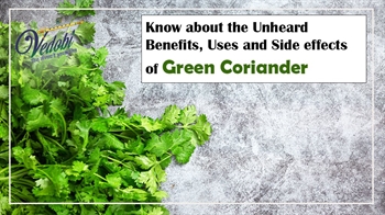 Know about the Unheard Benefits, Uses and Side effects of Green Coriander