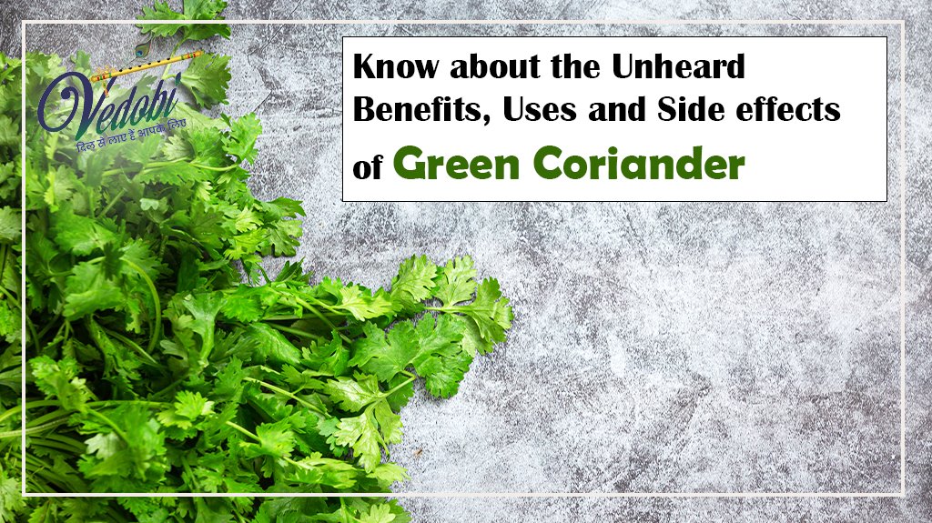 Know about the Unheard Benefits, Uses and Side effects of Green Coriander