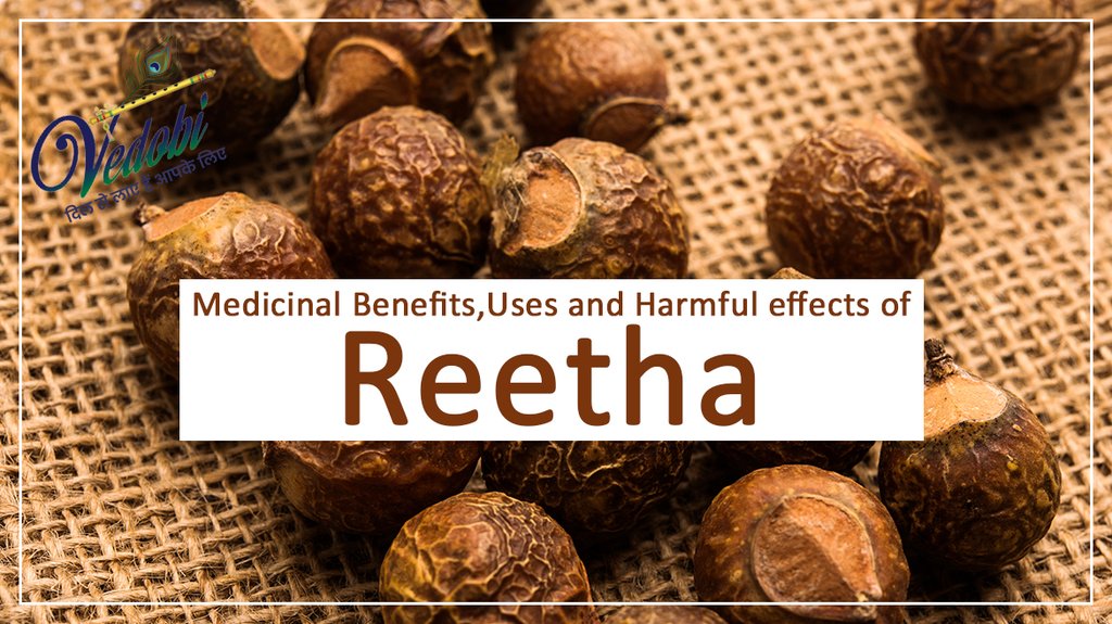 Medicinal Benefits, Uses and Harmful effects of Reetha