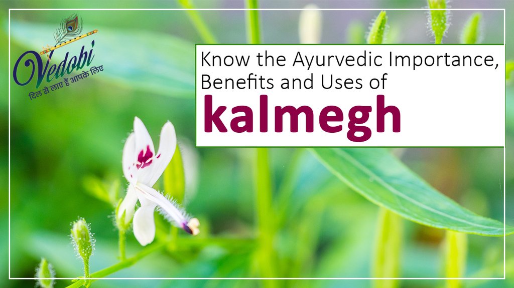 Know the Ayurvedic Importance, Benefits and Uses of Kalmegh