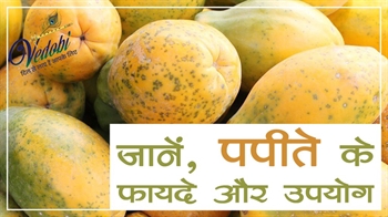 जानें, पपीते के फायदे और उपयोग