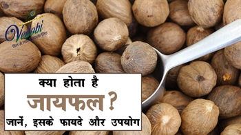 क्या होता है जायफल? जानें, इसके फायदे और उपयोग