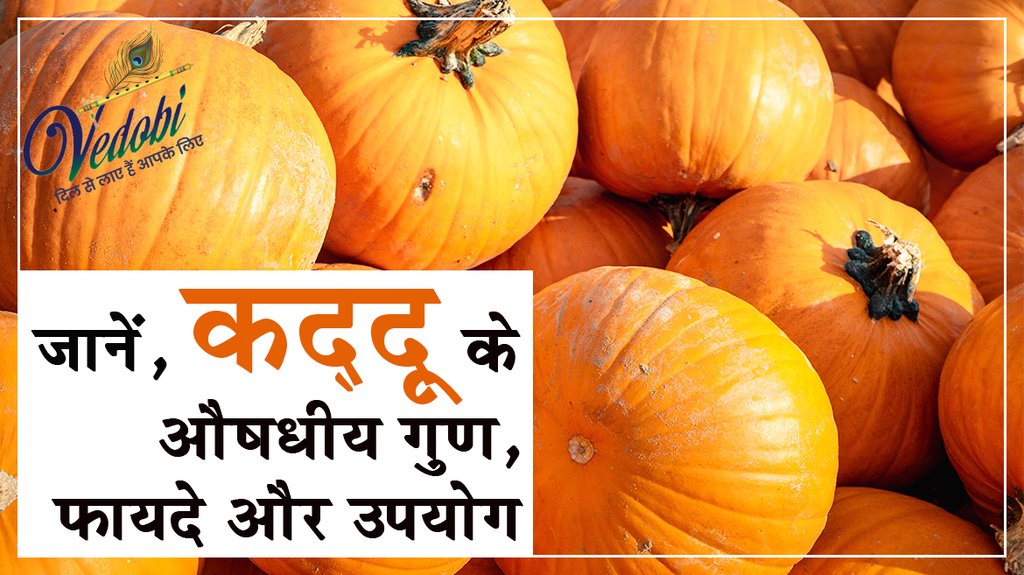 जानें, कद्दू के औषधीय गुण, फायदे और उपयोग