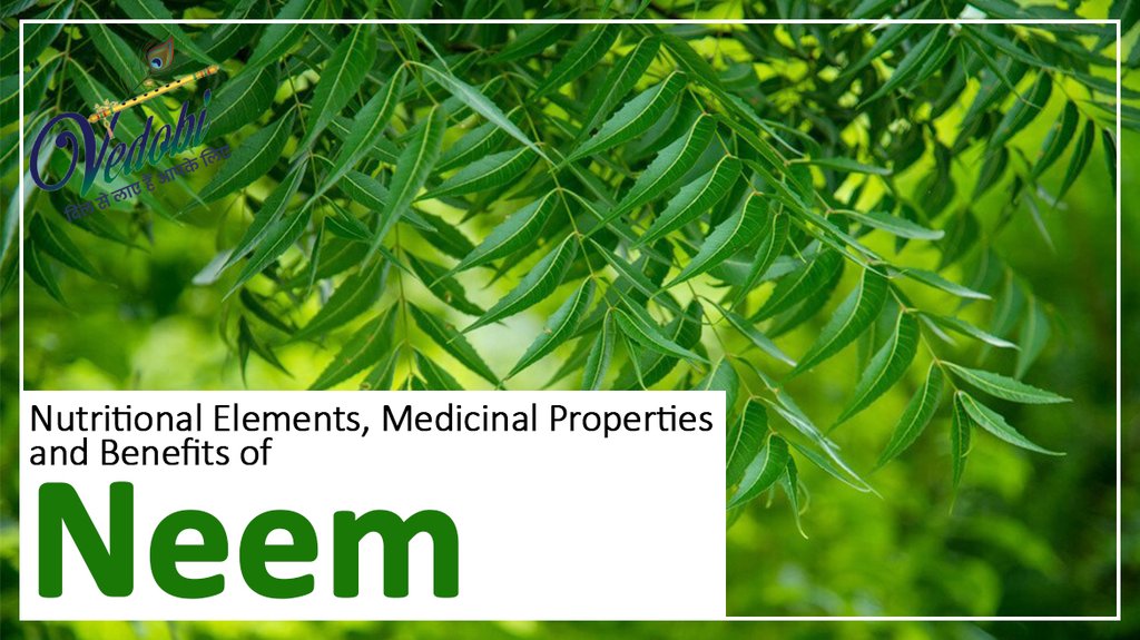 Nutritional Elements, Medicinal Properties and Benefits of Neem