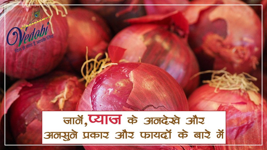 जानें, प्याज के अनदेखे और अनसुने प्रकार और फायदों के बारे में