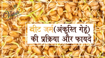 वीट जर्म (अंकुरित गेहूं) की प्रक्रिया और फायदे