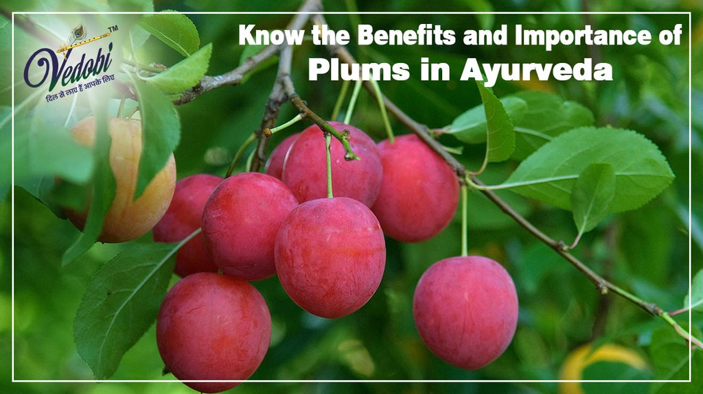 Know the Benefits and Importance of Plums in Ayurveda