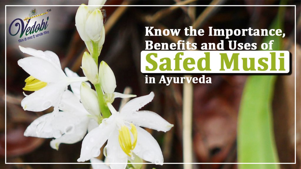 Know the Importance, Benefits and Uses of Safed Musli in Ayurveda