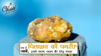 क्या है पित्ताशय की पथरी? जानें, इसके कारण, लक्षण और घरेलू उपचार