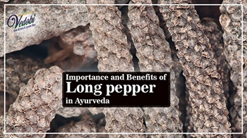 Importance and Benefits of Long pepper in Ayurveda