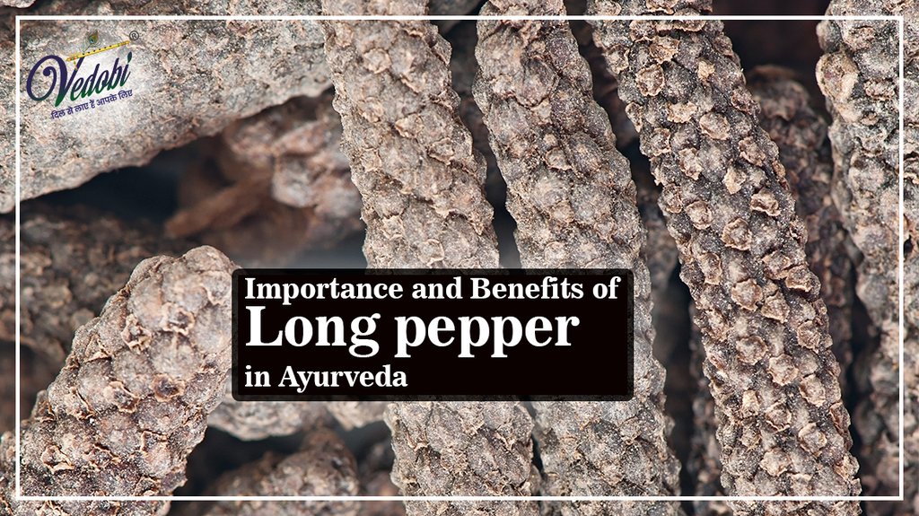 Importance and Benefits of Long pepper in Ayurveda