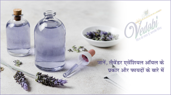 लैवेंडर एसेंशियल ऑयल