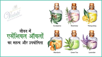 जीवन में एसेंशियल ऑयलों का महत्व और उपयोगिता