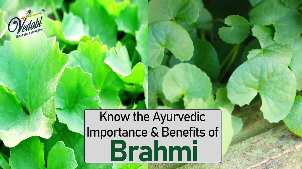 Know the Ayurvedic Importance & Benefits of Brahmi