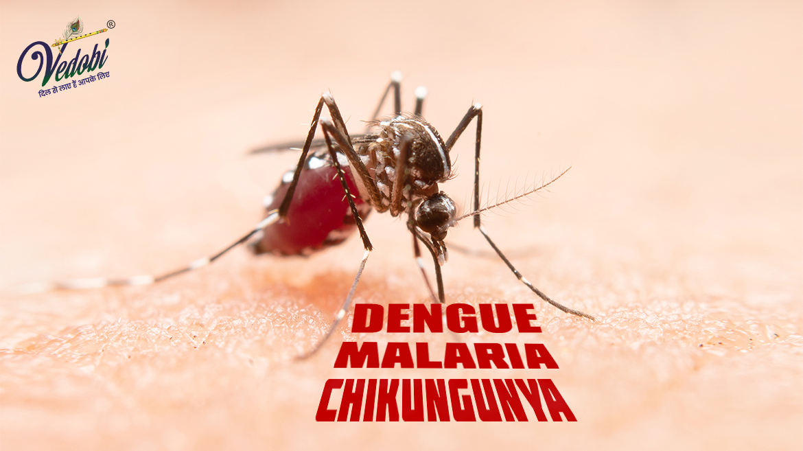 Causes, Symptoms and Treatment methods of Chikungunya, Dengue and Malaria