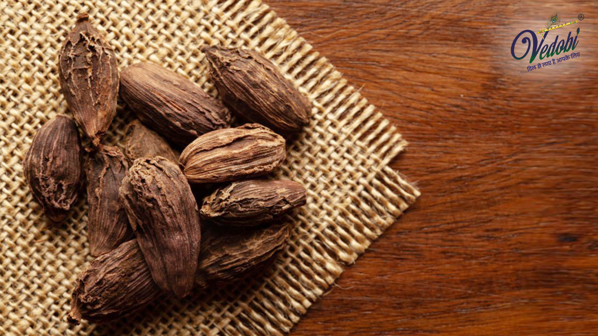 Know the Benefits, Uses and Side effects of Big Cardamom