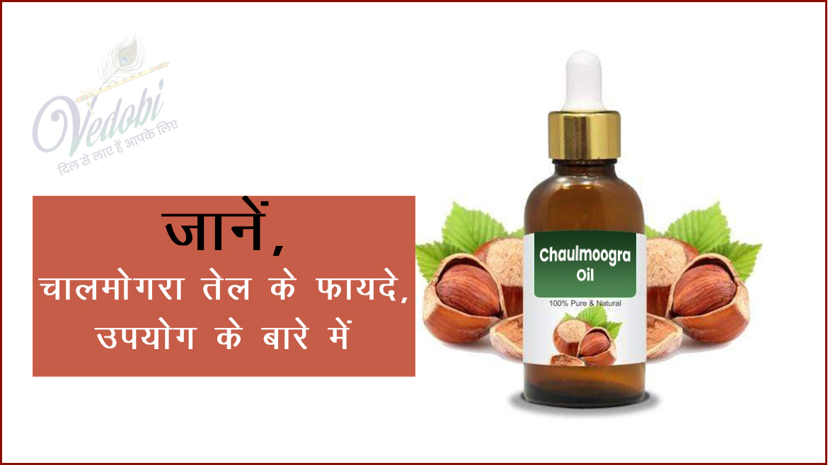 Benefits and Uses of Chaulmoogra & its Oil