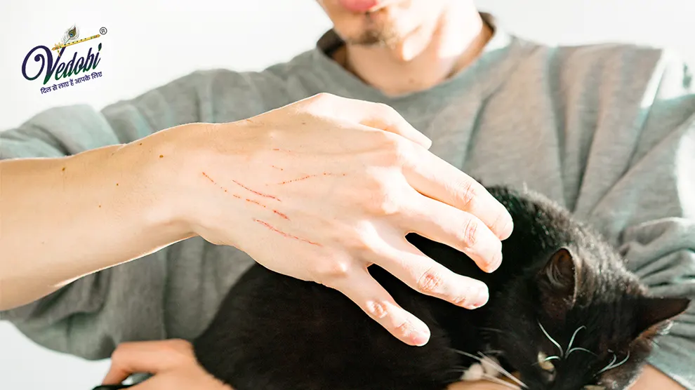 Causes, Symptoms and Treatment methods of Rabies