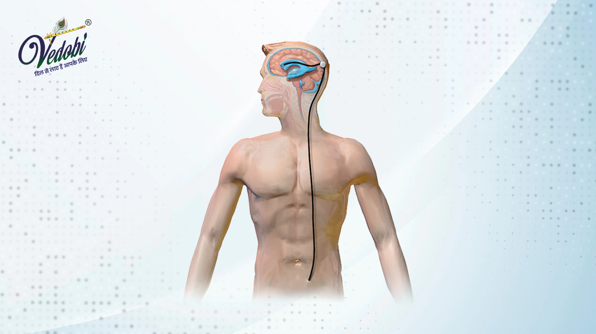 Hydrocephalus: Symptoms, Causes, Diagnosis and Treatment