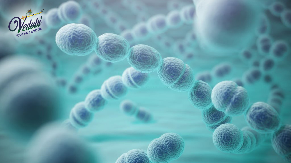 What is Pneumococcal disease? Know its Types, Symptoms and Diagnosis